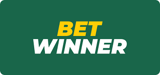 Comprehensive Guide to Betwinner Payments